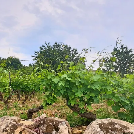 Casa Hortênsias * Alijó