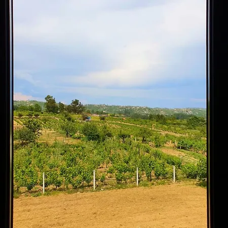 Casa Hortênsias Villa