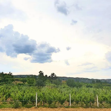 Casa Hortênsias Villa