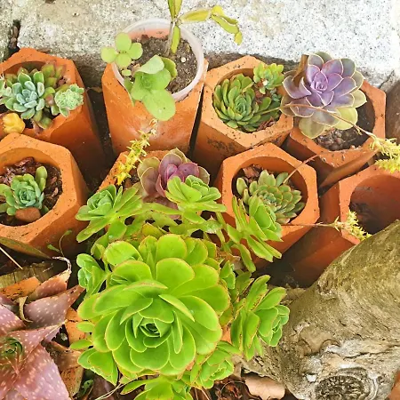 Villa Casa Hortênsias Alijó