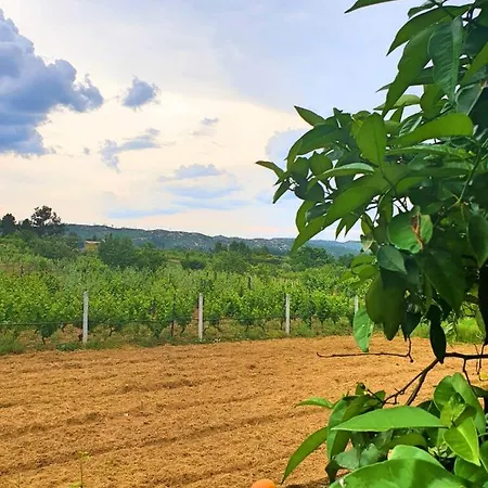 Casa Hortênsias Alijó