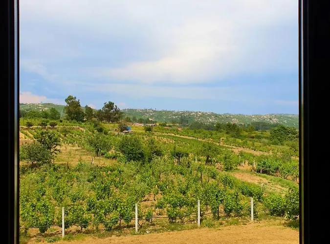 Casa Hortensias Villa