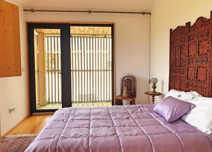 Casa Hortensias Villa Alijó