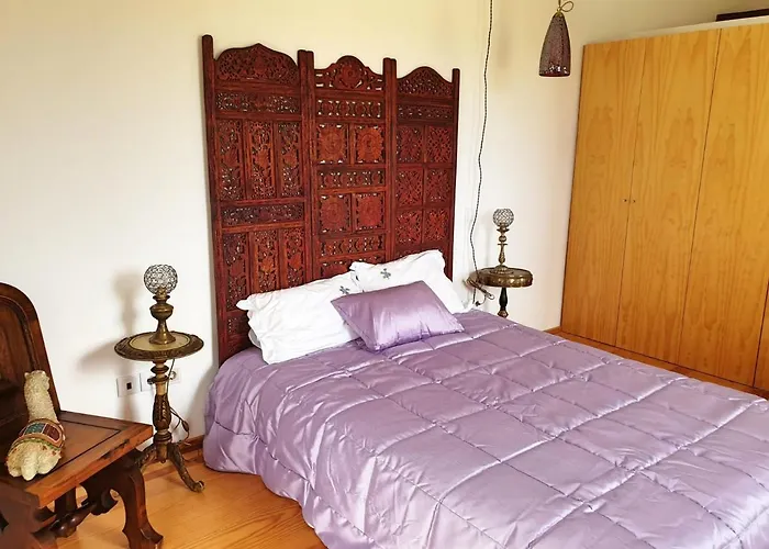 Casa Hortensias Villa Alijó