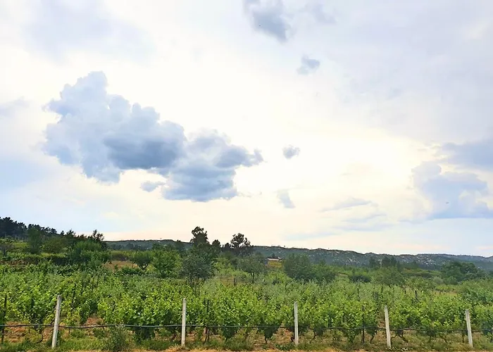 Casa Hortensias Villa