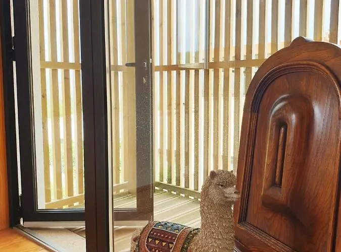 Casa Hortensias Alijó