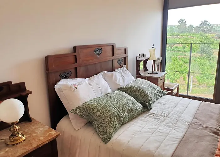 Casa Hortensias Alijó