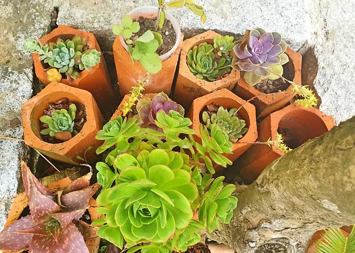 Villa Casa Hortensias Alijó