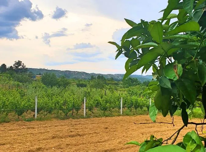 Casa Hortensias Alijó