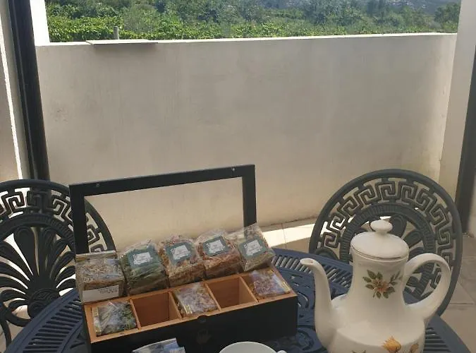 Villa Casa Hortensias *